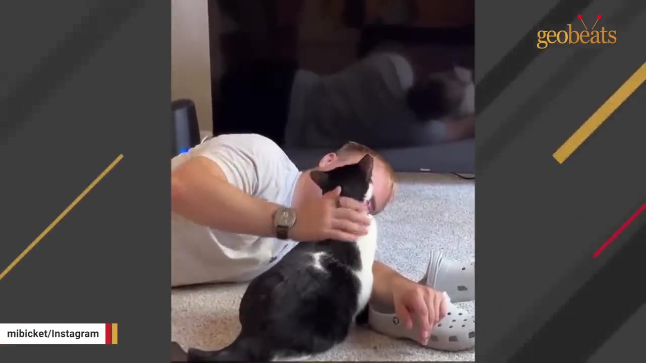 A man lying on the carpeted floor gently pets a black and white cat.
