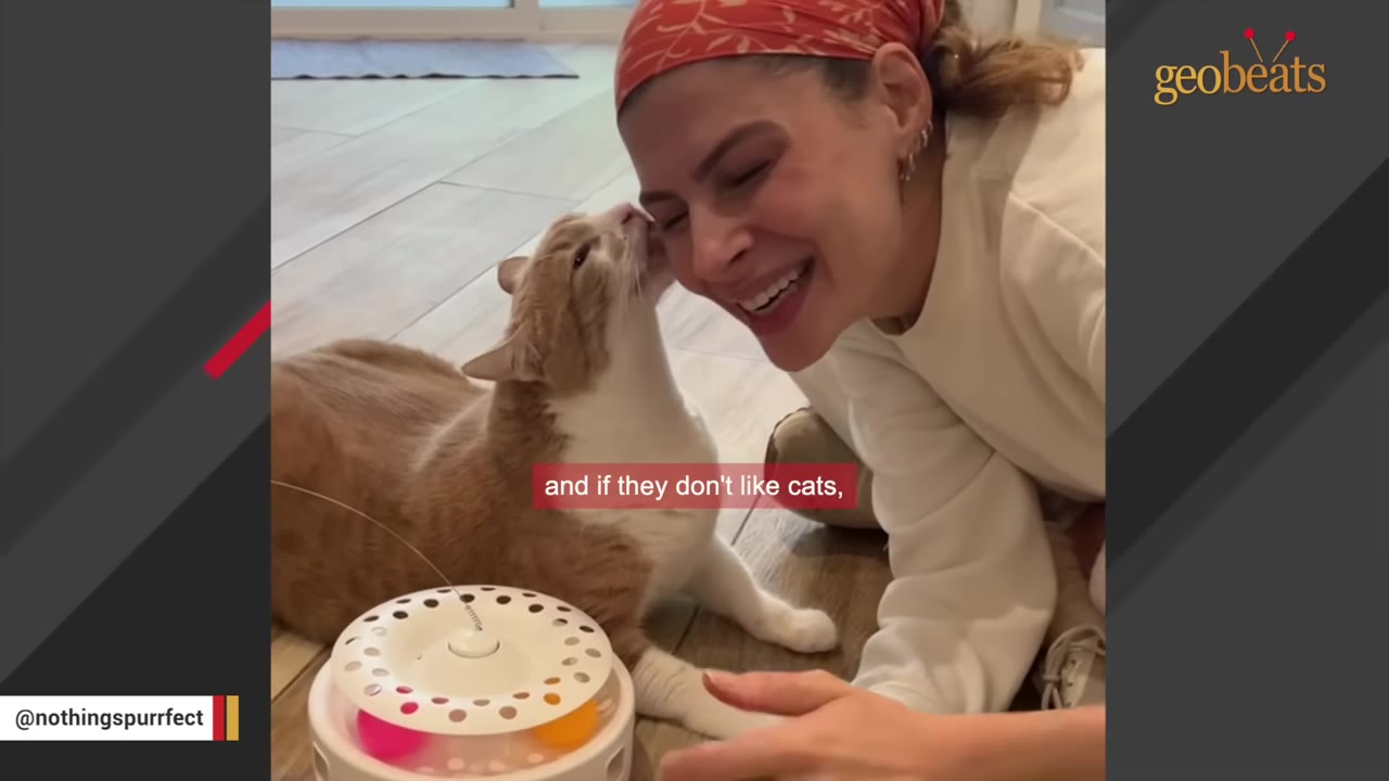 An orange and white cat nuzzles the cheek of a smiling woman wearing a red bandana.