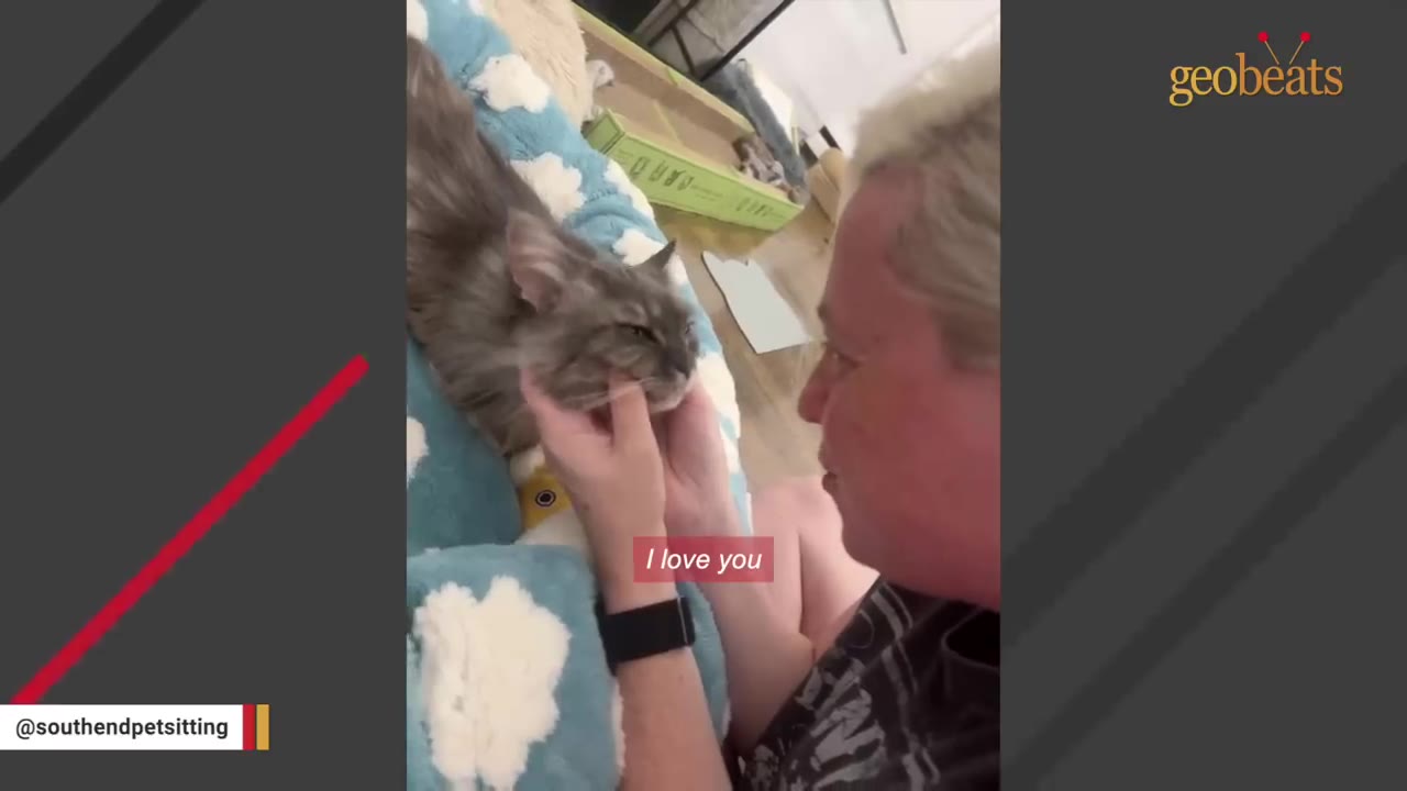 A close-up shot of a woman gently cradling a fluffy grey cat's face in her hands as they look at each other with affection.