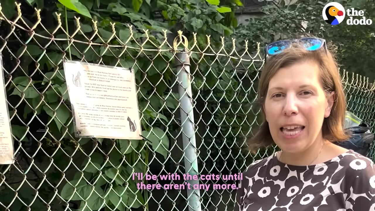 A woman with short brown hair and sunglasses on her head speaks in front of a chain-link fence with a sign about cats posted on it.