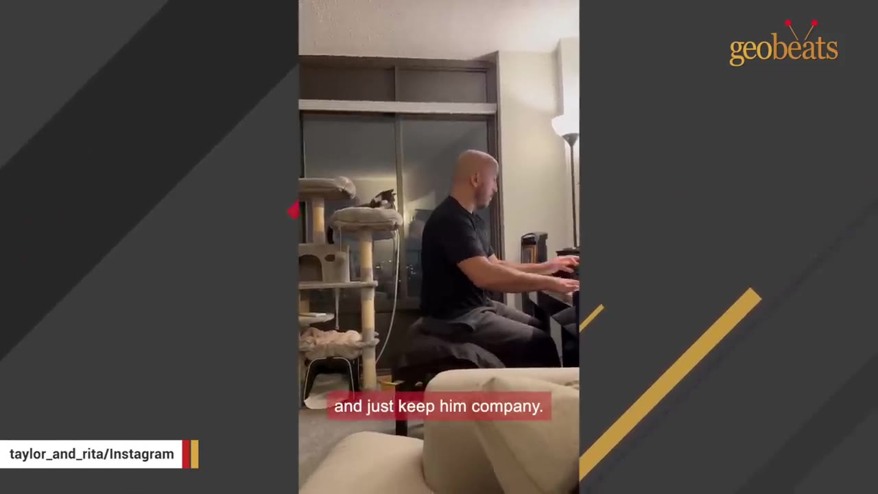 A man plays the piano in his living room while a cat sits nearby on a tall cat tree, keeping him company.