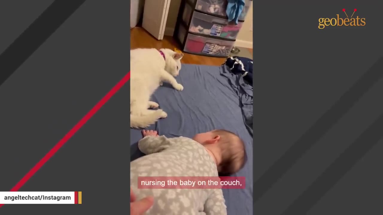 A white cat lies on a blue bed sheet, watching over a sleeping baby in a patterned onesie.