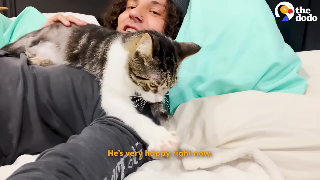A tabby and white cat lies across a person's lap on a bed, kneading with its front paws while the person smiles in the background.