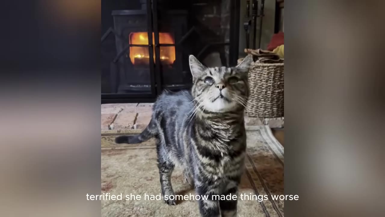 A tabby cat with cloudy eyes stands on a rug in front of a lit fireplace, looking upwards.