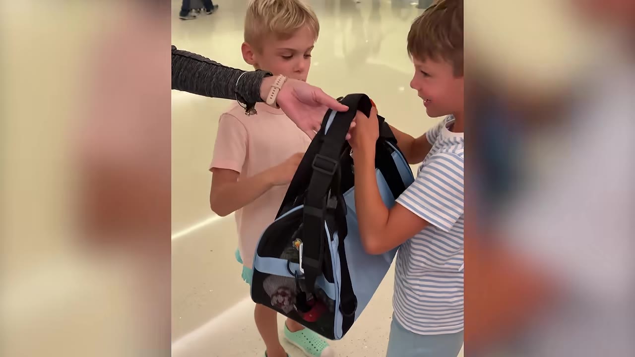 Two young boys smiling and looking excitedly at a blue pet carrier bag held between them in a bright airport terminal.