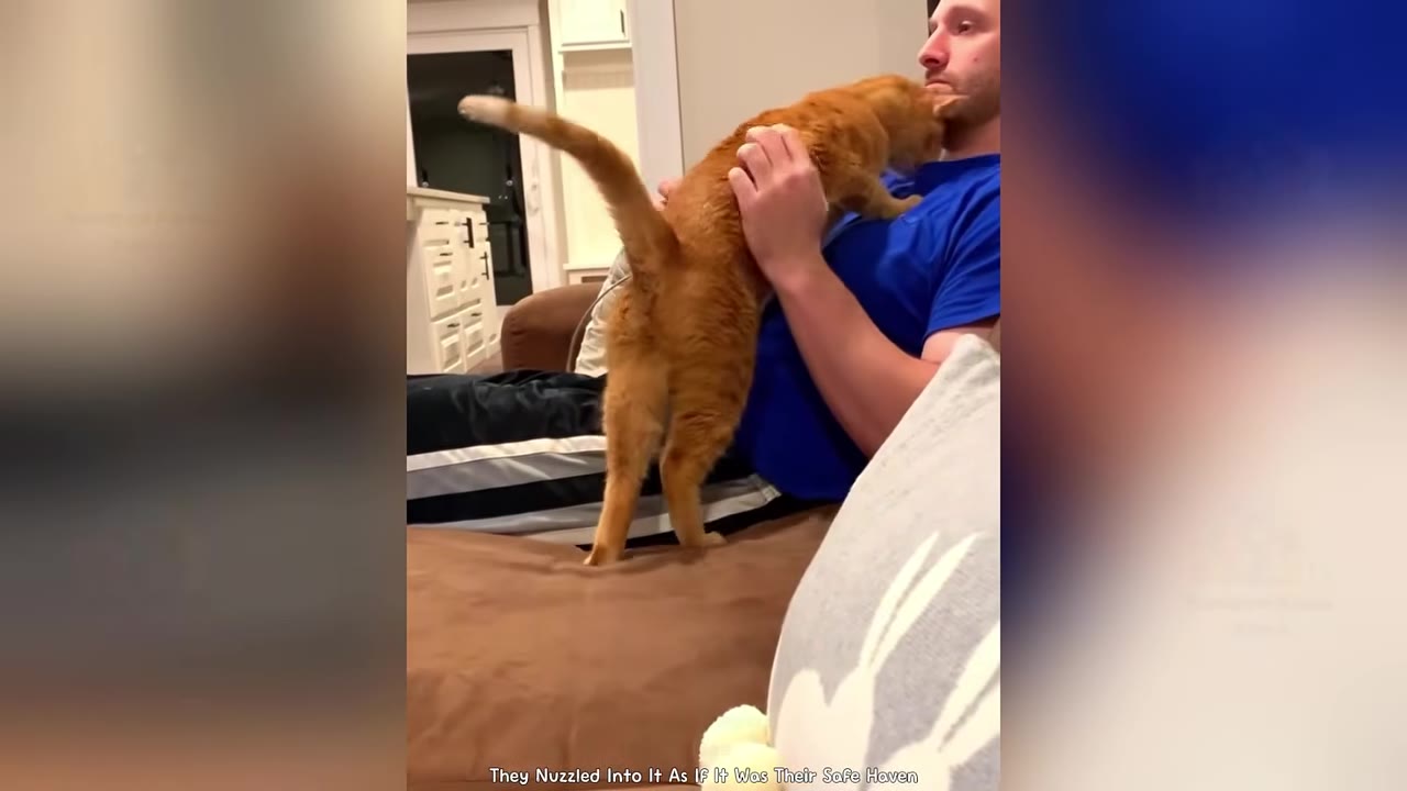 An orange cat stands on a man's chest, nuzzling its face against his chin and beard.