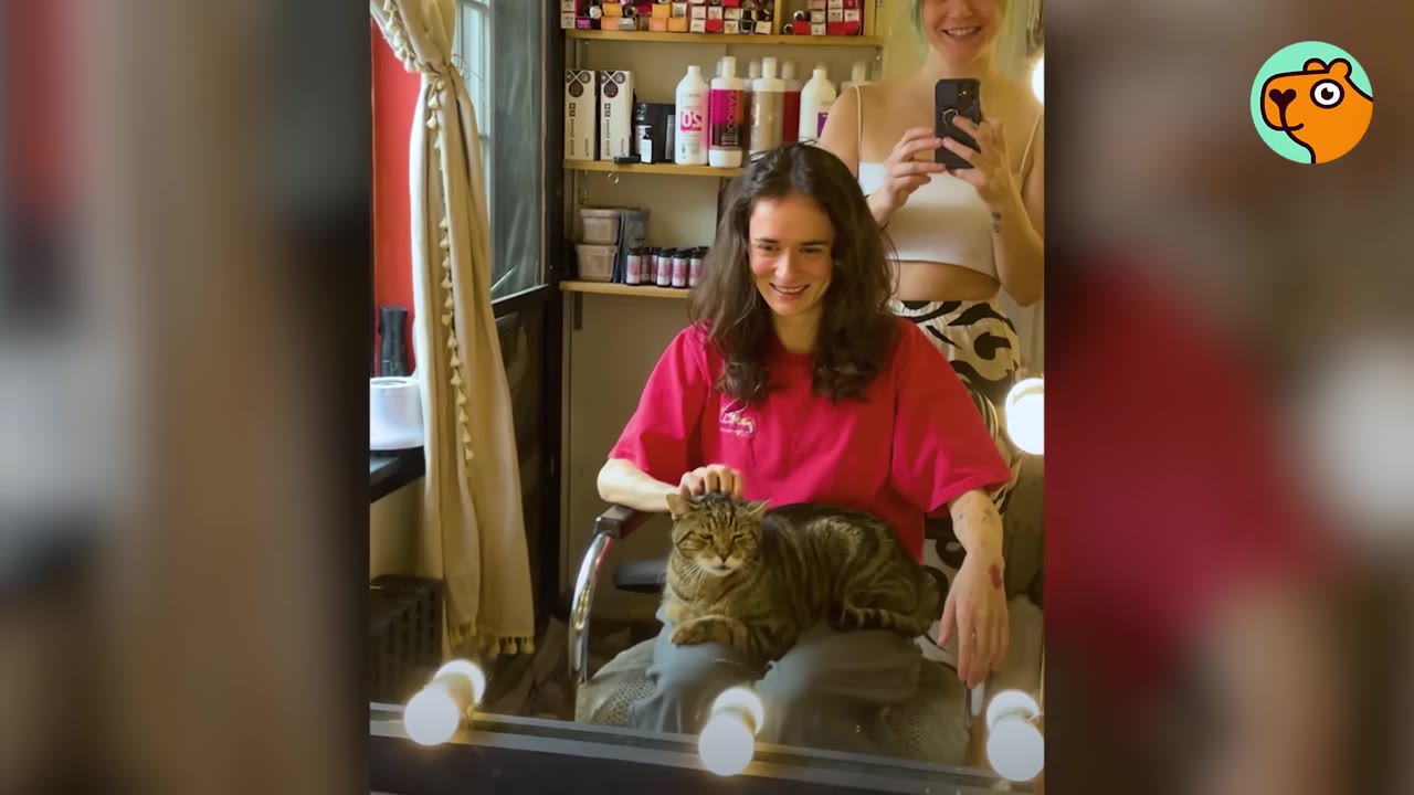 A tabby cat sits comfortably on the lap of a smiling salon client wearing a red t-shirt, seen through a mirror reflection.