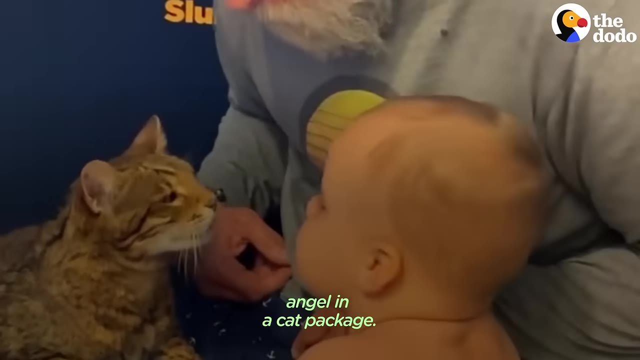 A small brown tabby cat looks up affectionately at a baby, with a man sitting close by.