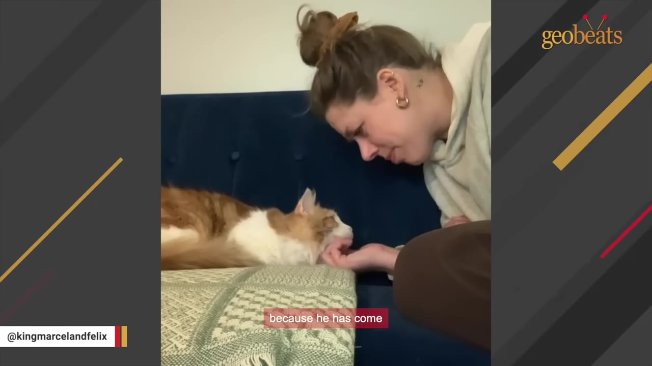A woman with her hair in a bun leans in close to a fluffy orange and white cat resting on a bed, gently cradling its chin in her hand.