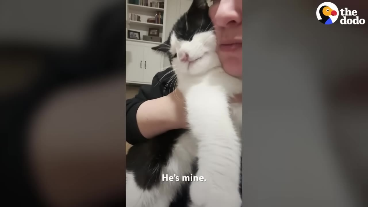 A black and white cat affectionately nuzzles its face against a person's cheek while being held.