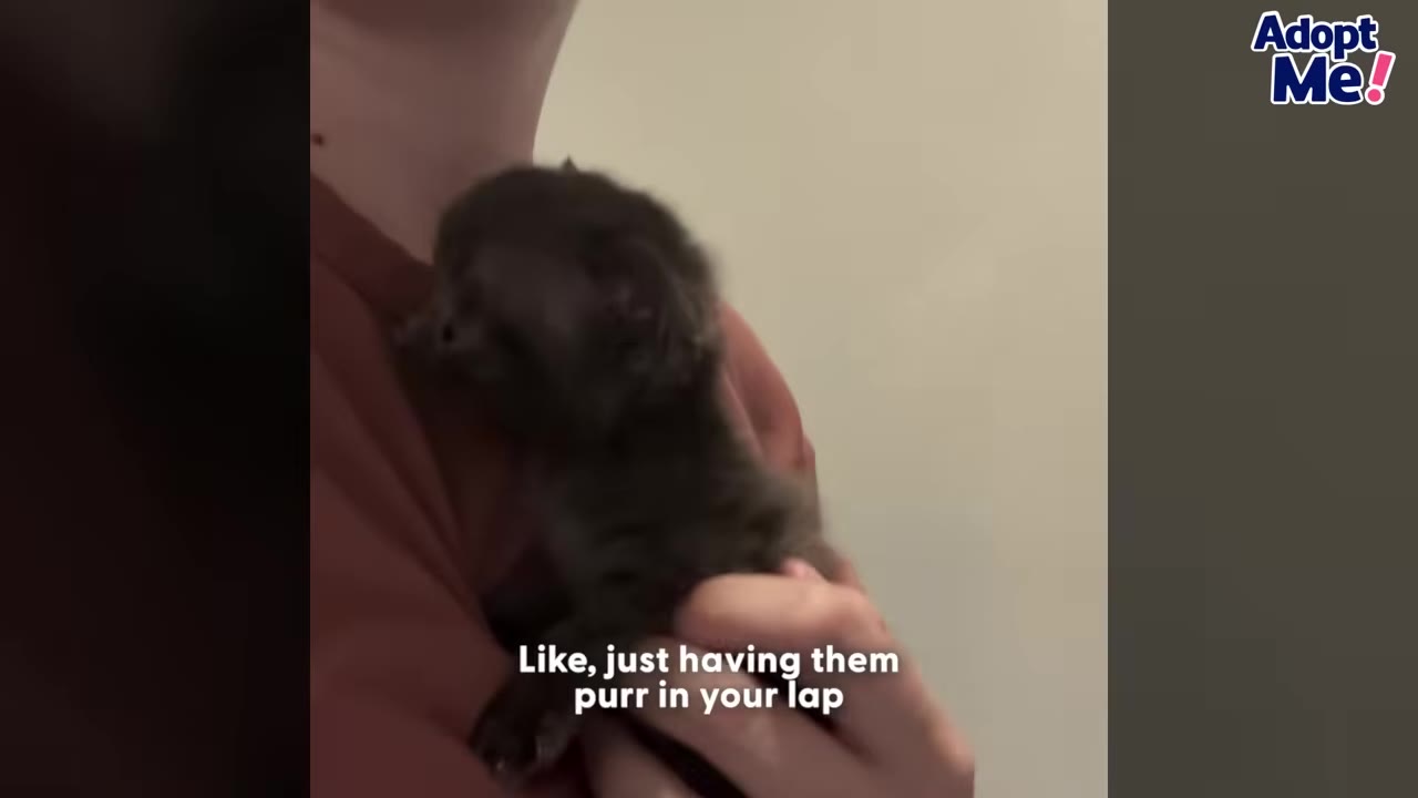 A person holding a tiny dark kitten close to their chest.