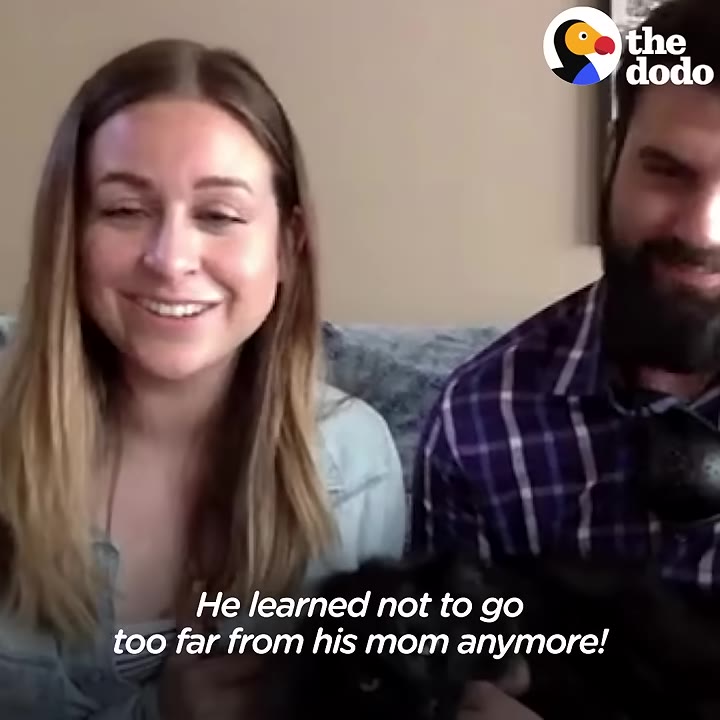 A smiling woman with light brown hair sits next to a bearded man while holding a black cat in her lap.