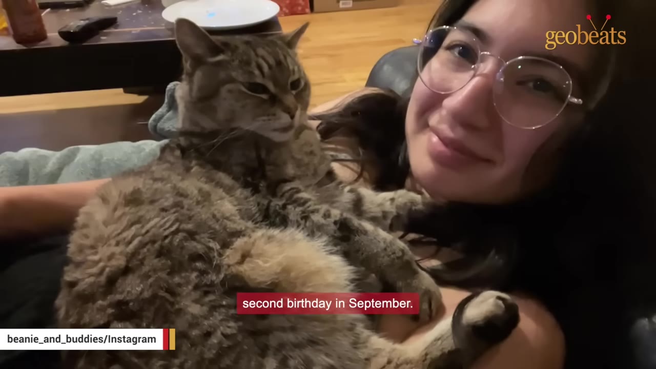 A smiling woman with glasses holds a fluffy tabby cat on her lap.