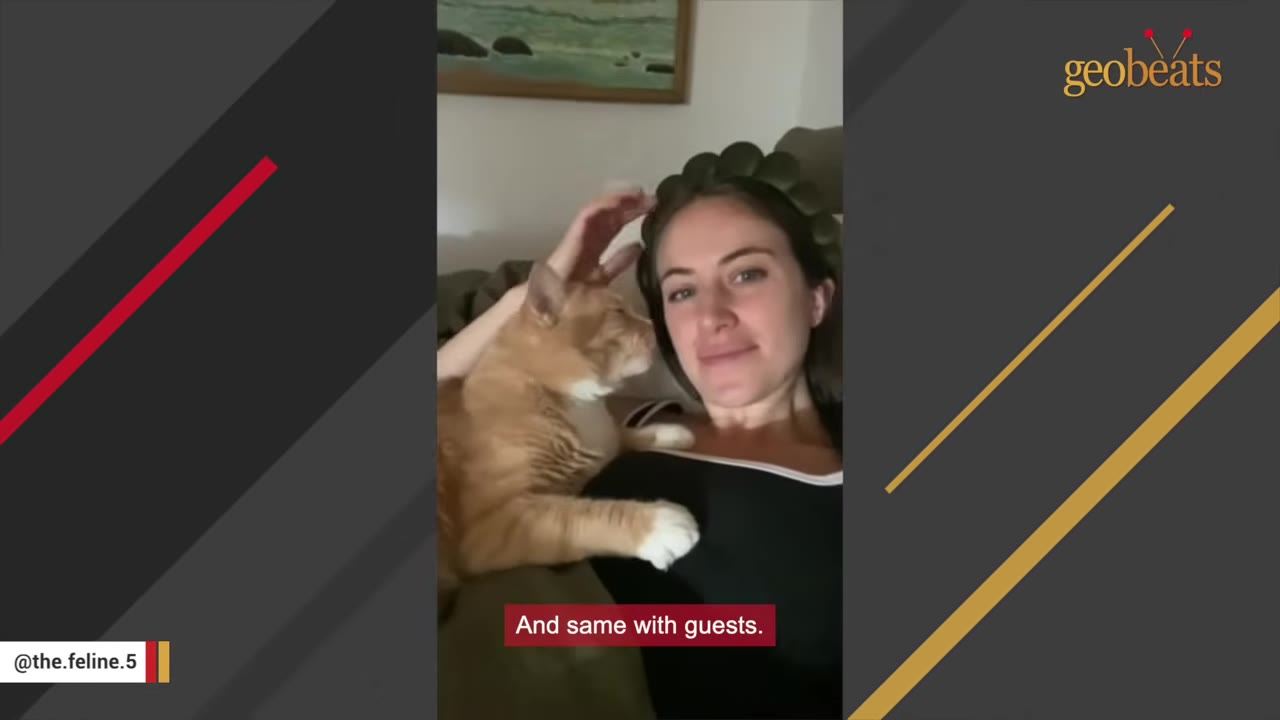 An orange tabby cat lies on a woman's chest as she gently pets its head.