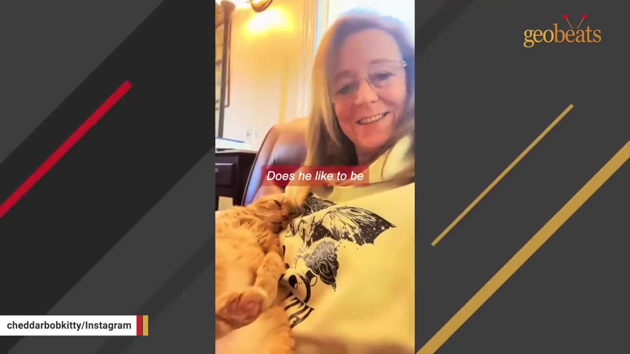 A smiling woman wearing glasses and a butterfly t-shirt sits in a chair with an orange cat resting peacefully on her chest.