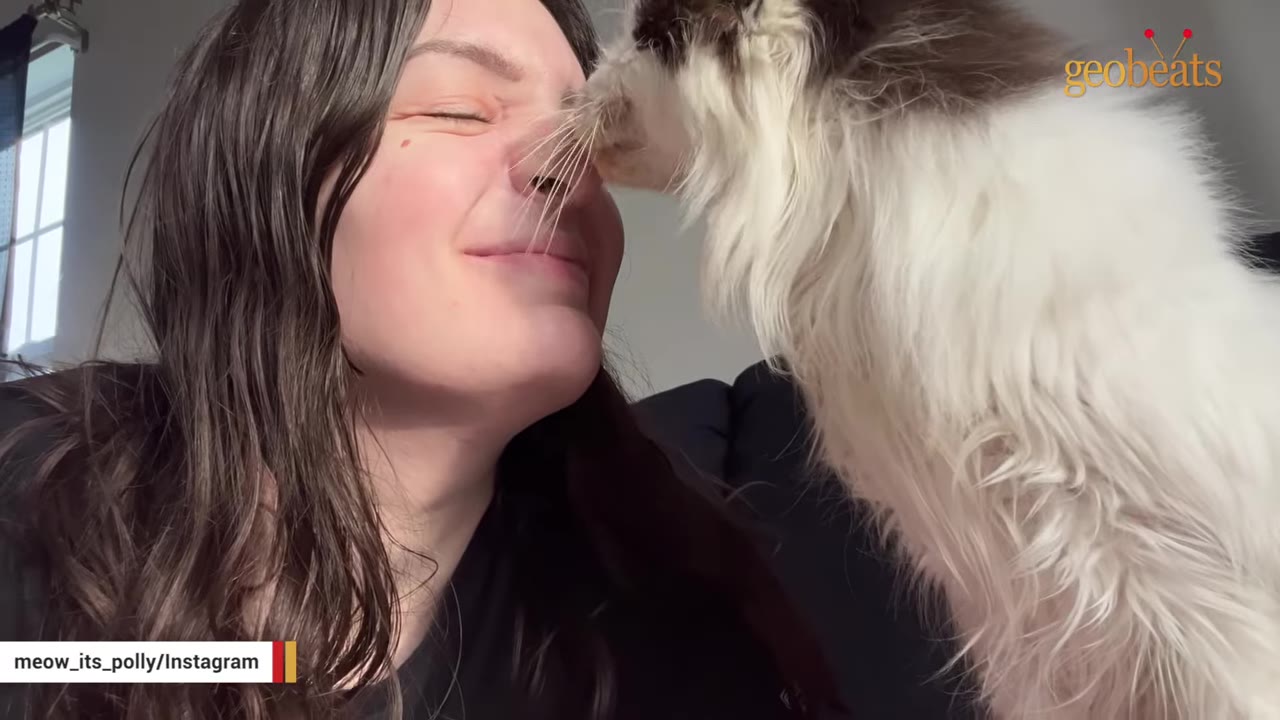 A close-up shot of a smiling woman with long dark hair as a fluffy black and white cat nuzzles her nose.