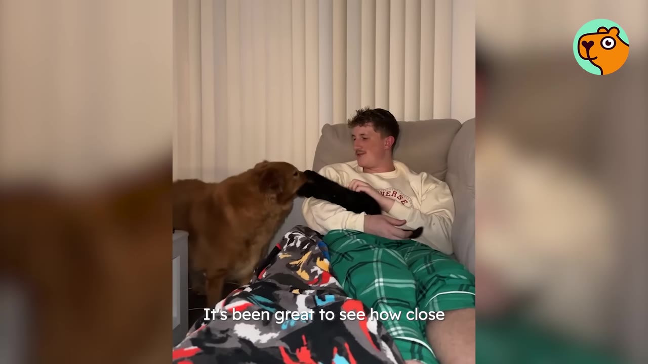 A golden dog gently nuzzles a small black kitten held by a man sitting on a couch.