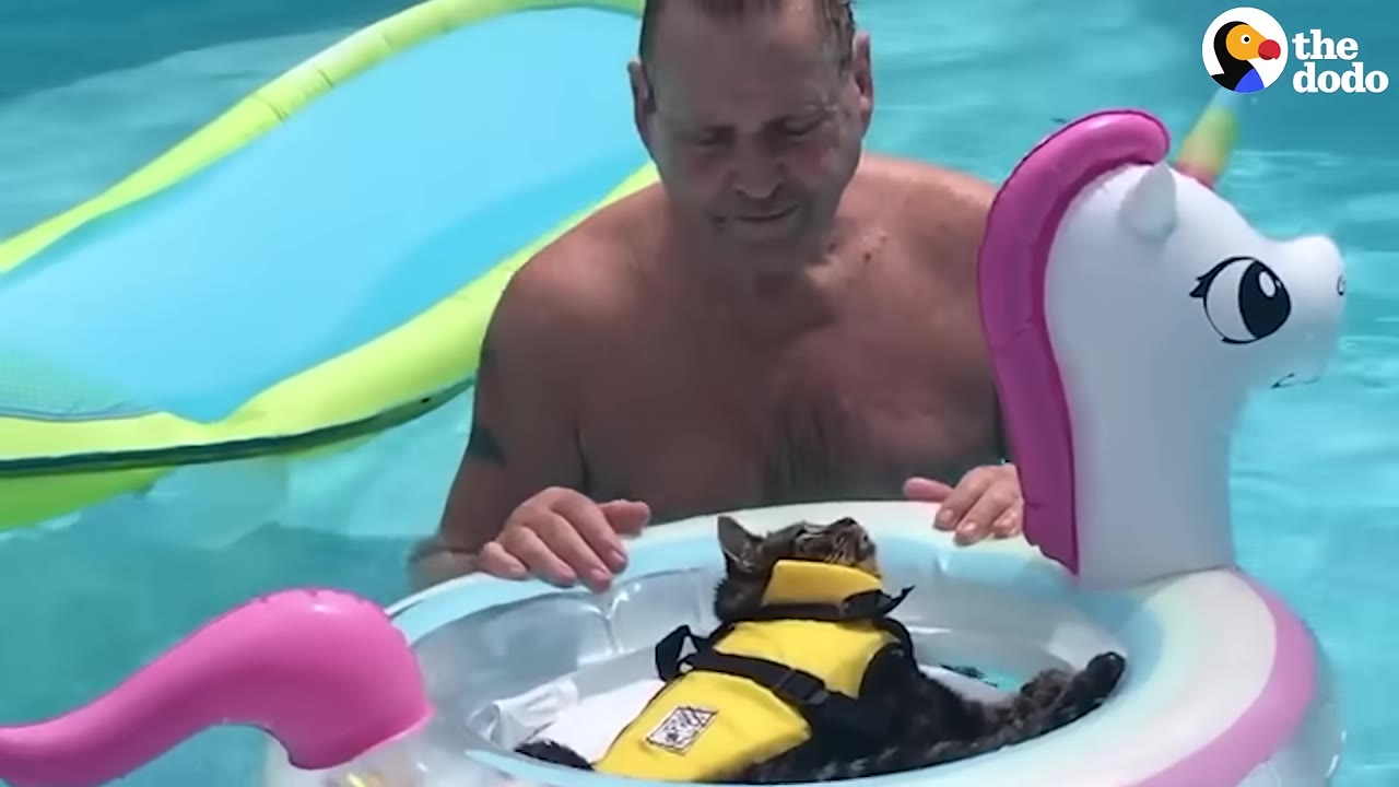 A man in a swimming pool watches a tabby cat wearing a yellow life vest float inside a small inflatable unicorn pool float.