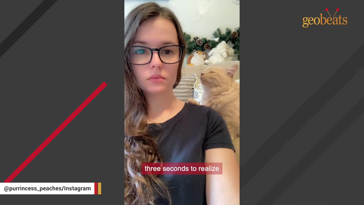 A light orange cat leans affectionately against the shoulder of a woman wearing glasses and a black t-shirt.
