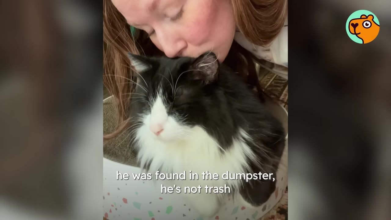 A woman with long brown hair kisses the top of a fluffy black and white cat's head.