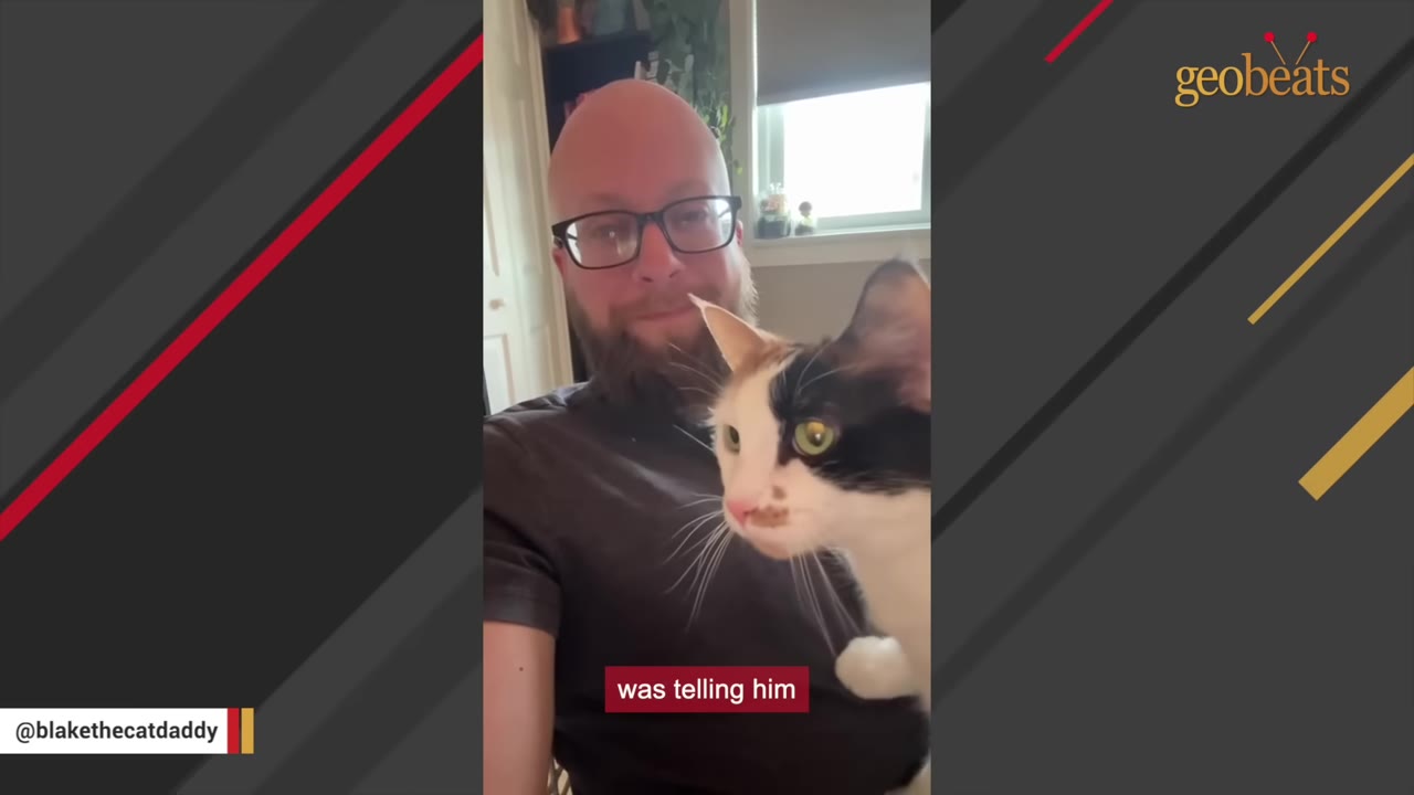 A calico cat sits on a man's lap, looking alertly to the side with wide eyes while the man smiles in the background.
