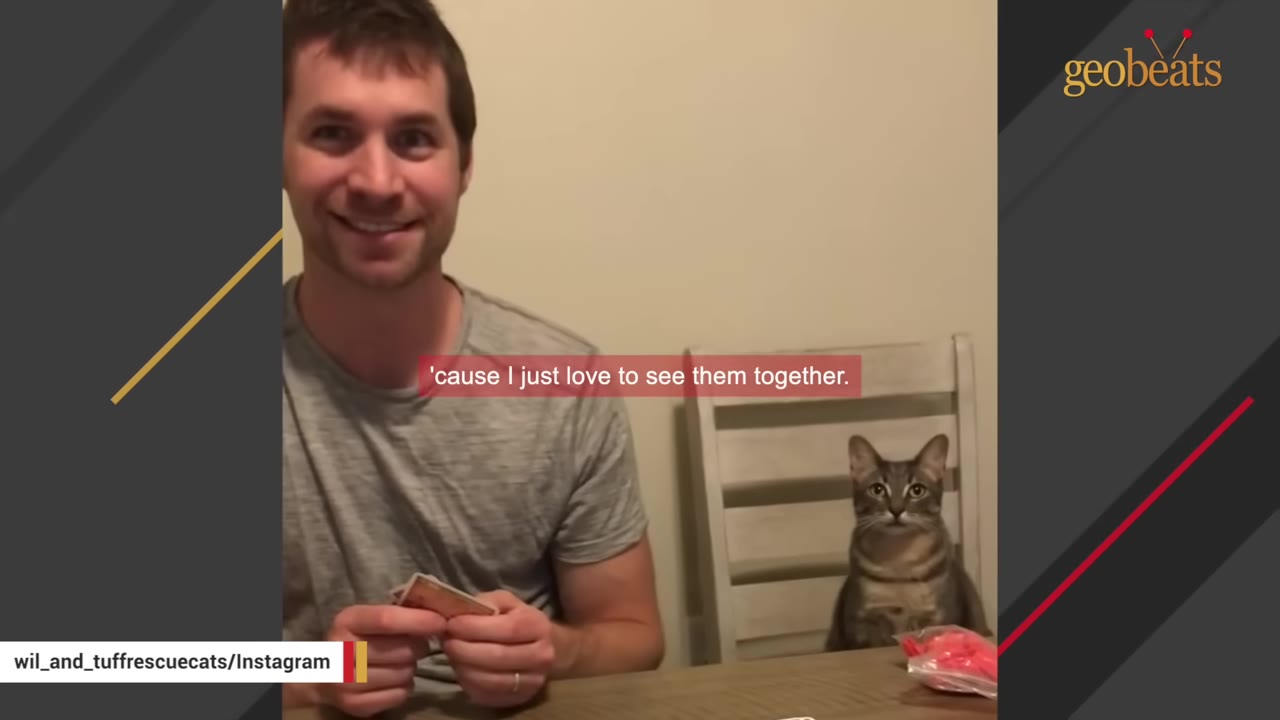 A smiling man sits at a wooden table holding cards while a tabby cat sits upright in a chair next to him.