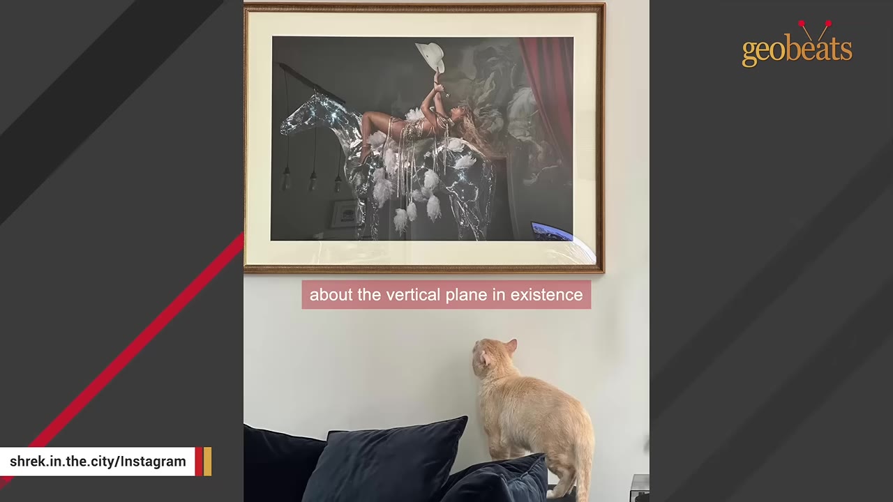 A light orange cat stands on the back of a dark couch, looking up at a framed picture hanging on the wall.