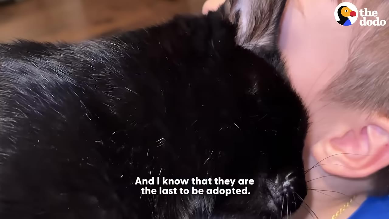 A close-up shot of a black cat nuzzling against a child's neck and ear.