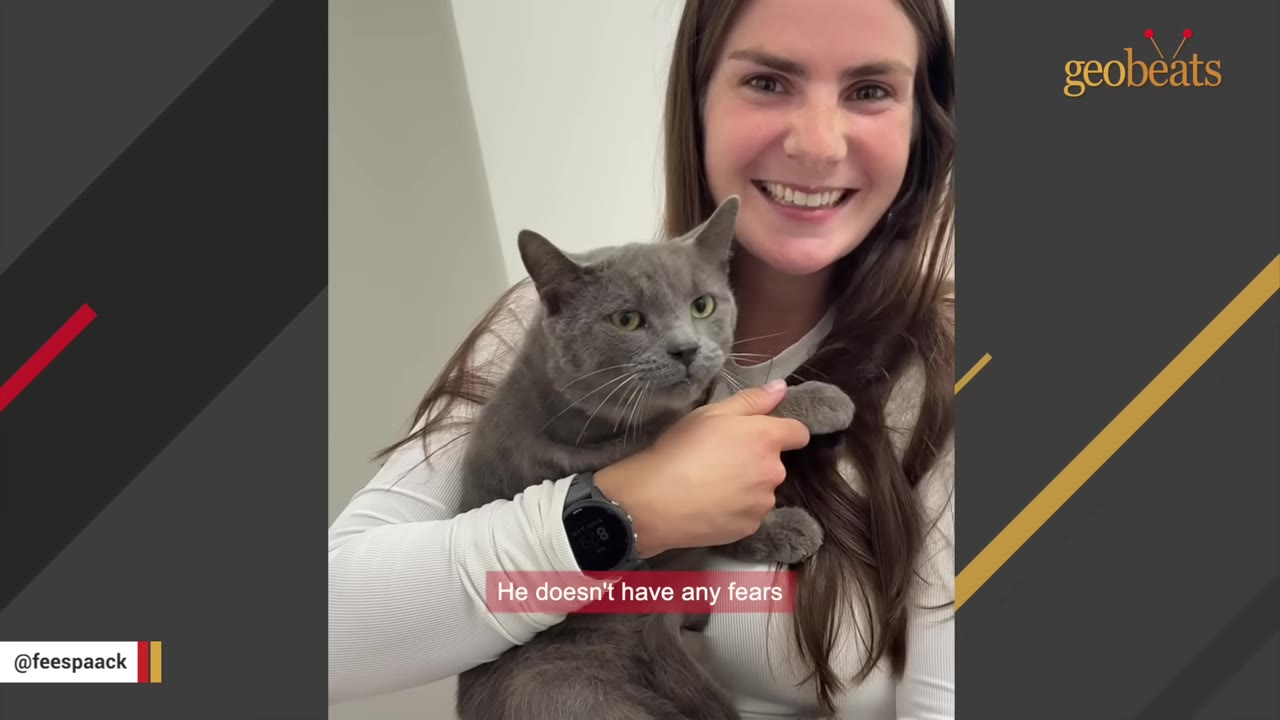 A smiling woman holding a grey cat in her arms, with a subtitle that reads 'He doesn't have any fears'.