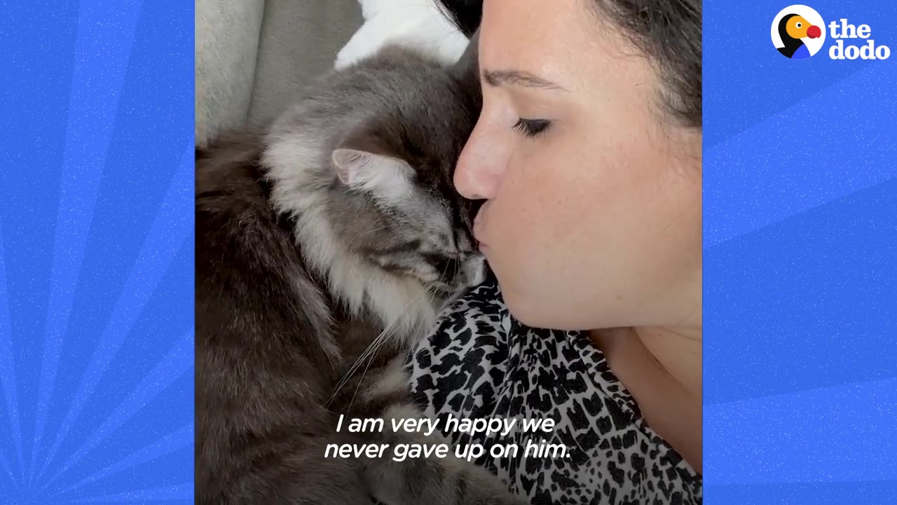 A woman kissing a fluffy grey and white cat on its head as it rests against her shoulder.