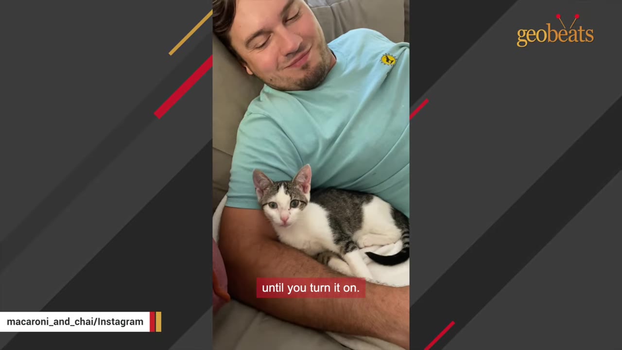A small white and grey tabby kitten rests comfortably on a man's chest as he lies down, looking directly at the camera.