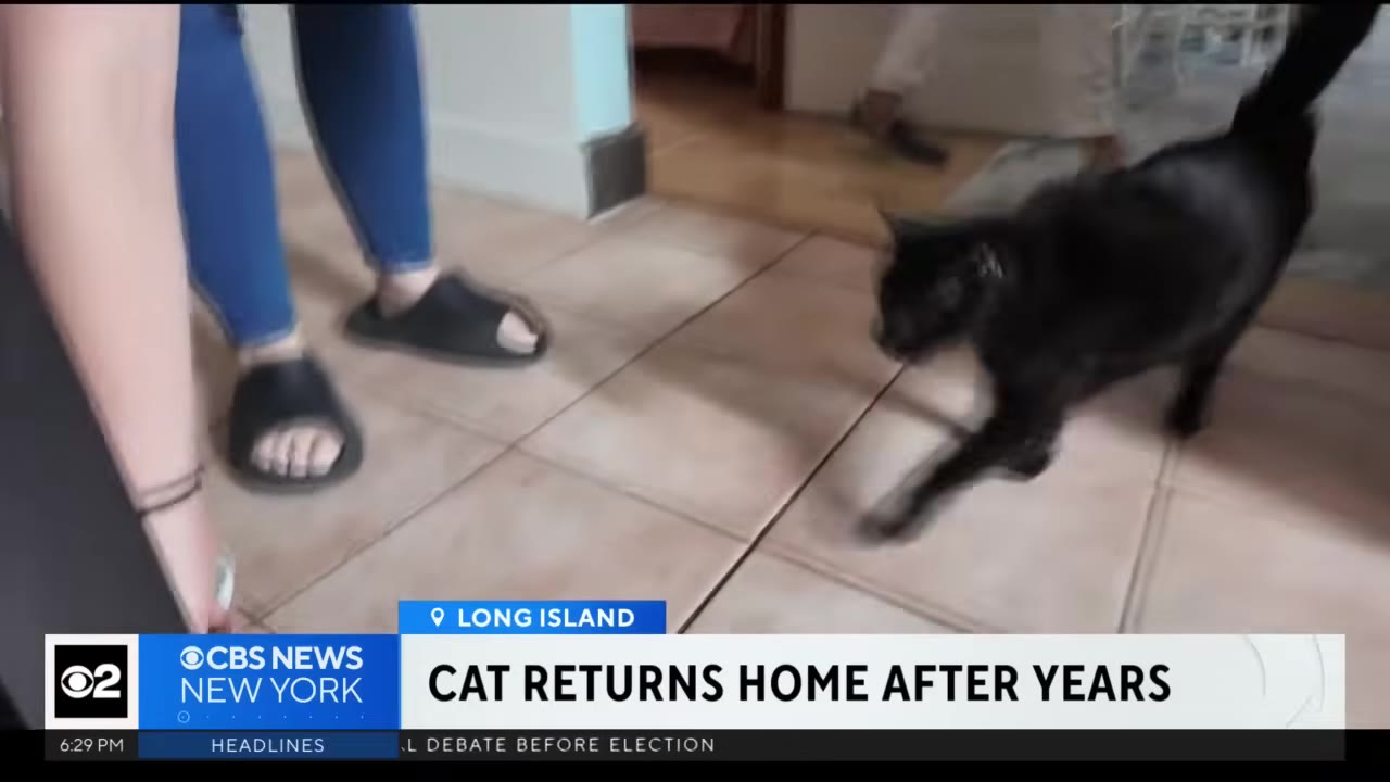 A black cat walks across a tiled floor inside a home, near a person wearing blue jeans and black sandals.