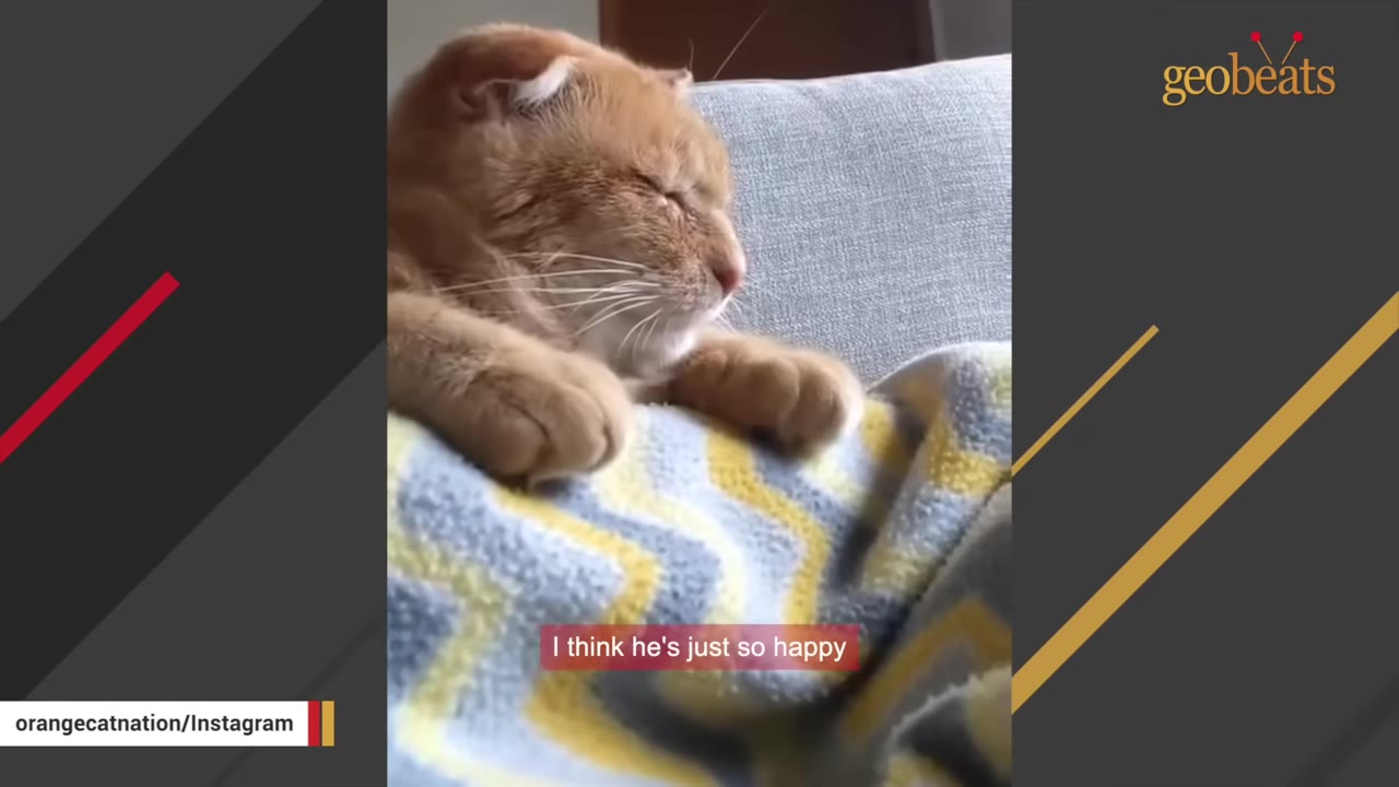 An orange tabby cat sleeping peacefully with closed eyes on a soft, patterned blanket.