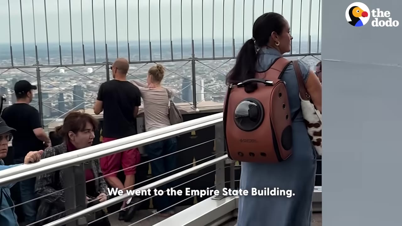 A woman wearing a brown cat backpack stands on the outdoor observation deck of the Empire State Building, looking out over the cityscape of New York City.
