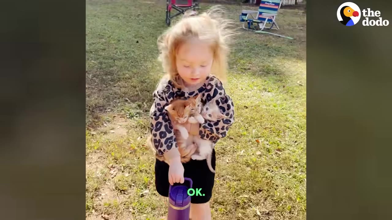 A young girl with blonde hair wearing a leopard print shirt stands outside on the grass holding two small kittens in her arms.