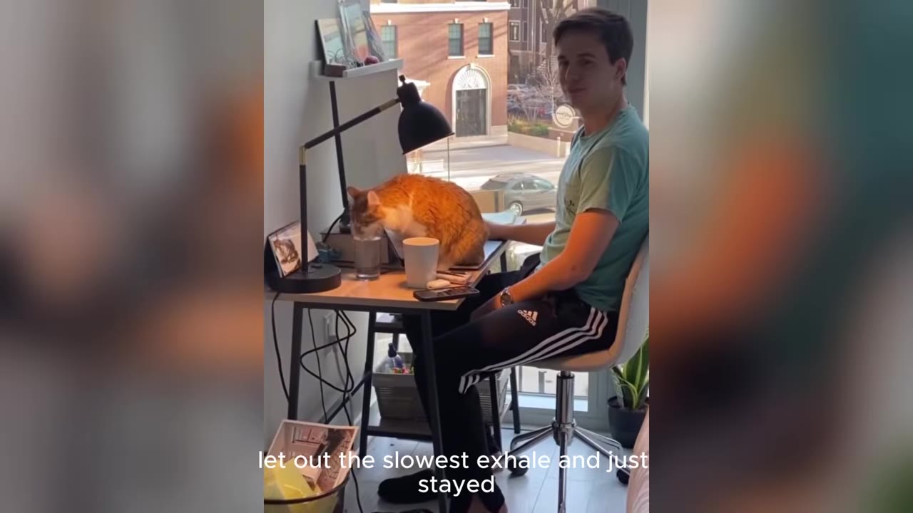 An orange and white cat stands on a desk next to a glass of water, while a man sits in a chair beside the desk.