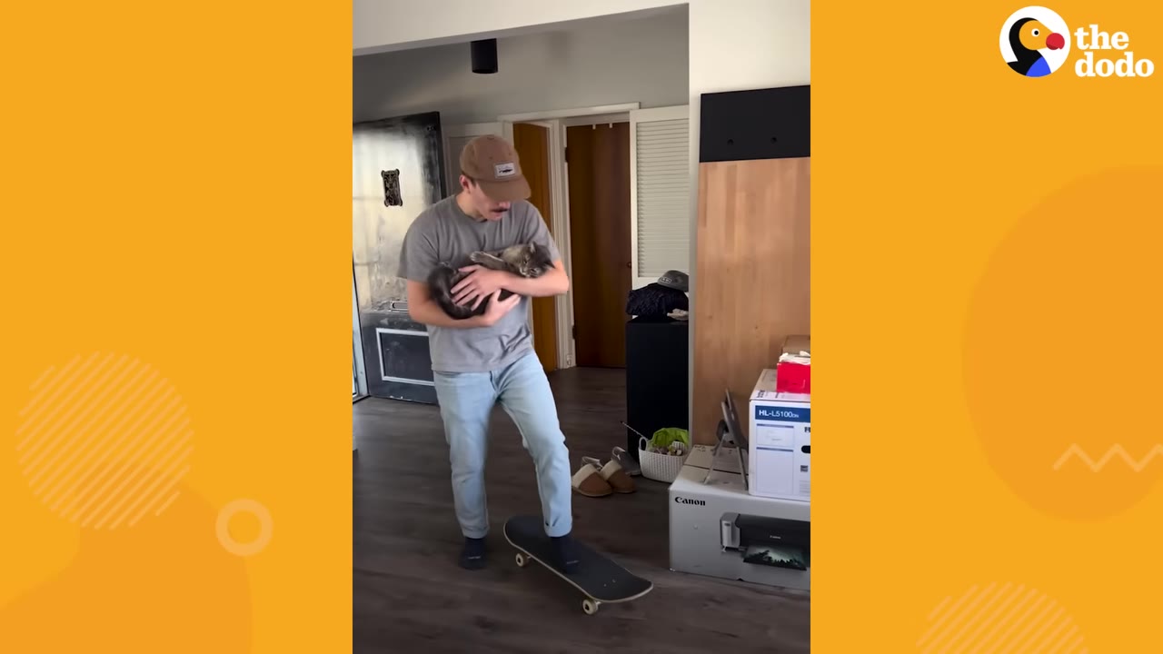 A man wearing a baseball cap and grey t-shirt holds a tabby cat in his arms while standing with one foot on a skateboard indoors.
