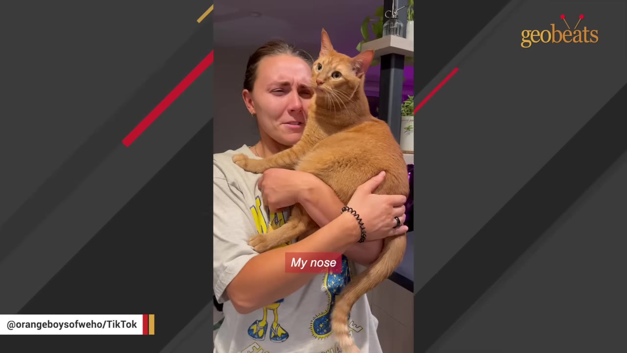 A woman with a tearful expression holds a large orange cat close to her chest.