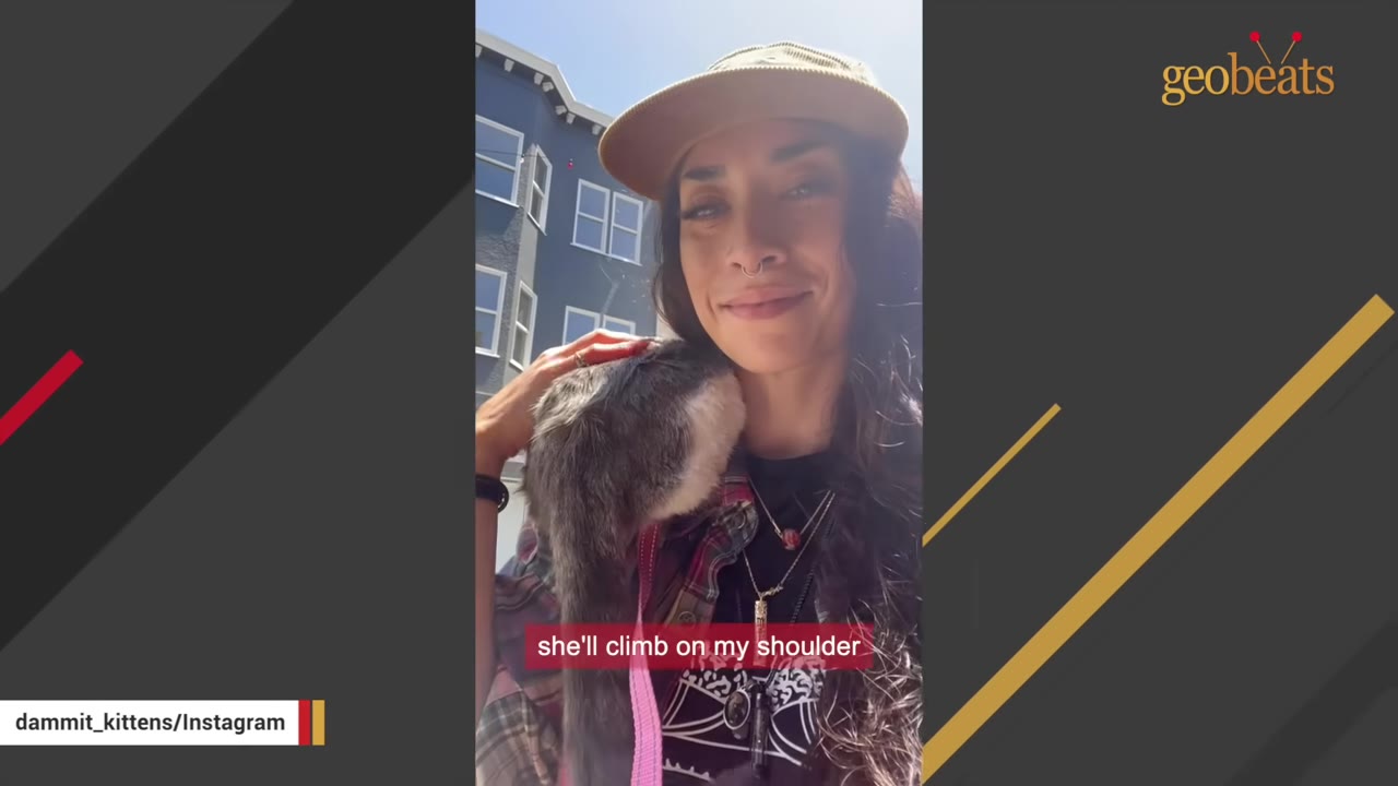 A smiling woman wearing a tan hat and a plaid shirt has a grey and white cat perched on her shoulder outdoors.