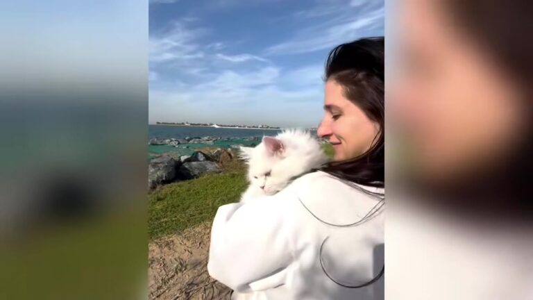 Texas Vet Tech Refuses To Give Up On Hopeless Kitten And The Result Leaves The Entire Clinic Stunned