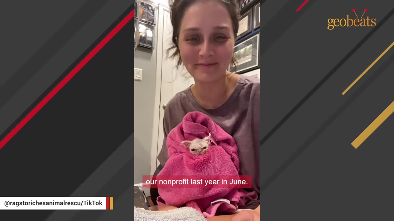 A smiling woman holding a tiny kitten wrapped in a pink towel.