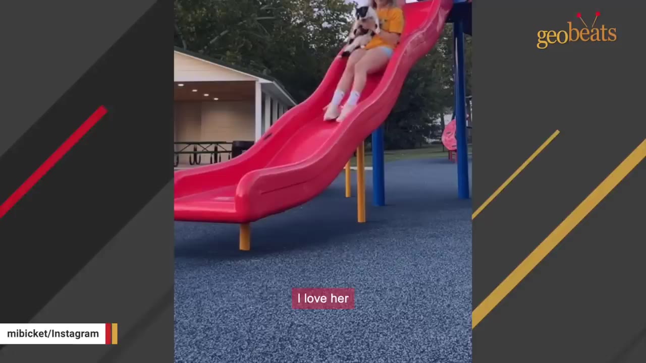 A person holding a black and white cat slides down a red playground slide.