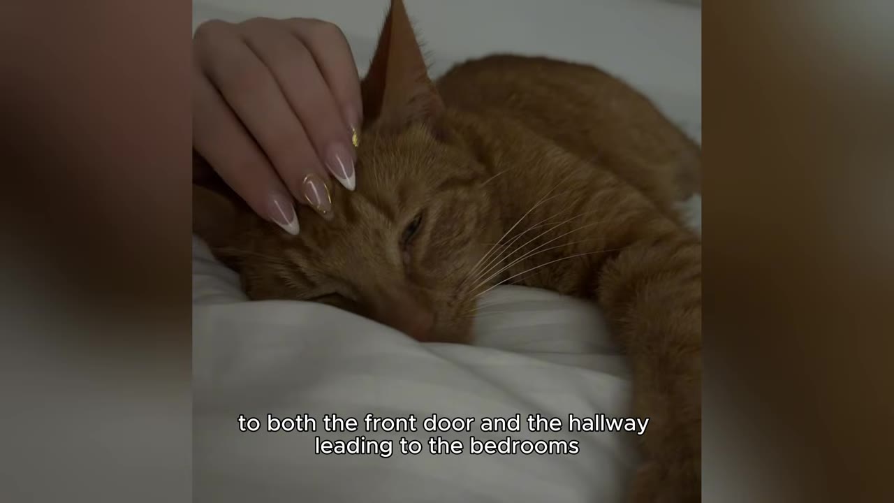 A close-up shot of a hand with manicured nails gently petting an orange tabby cat lying on a white bed.