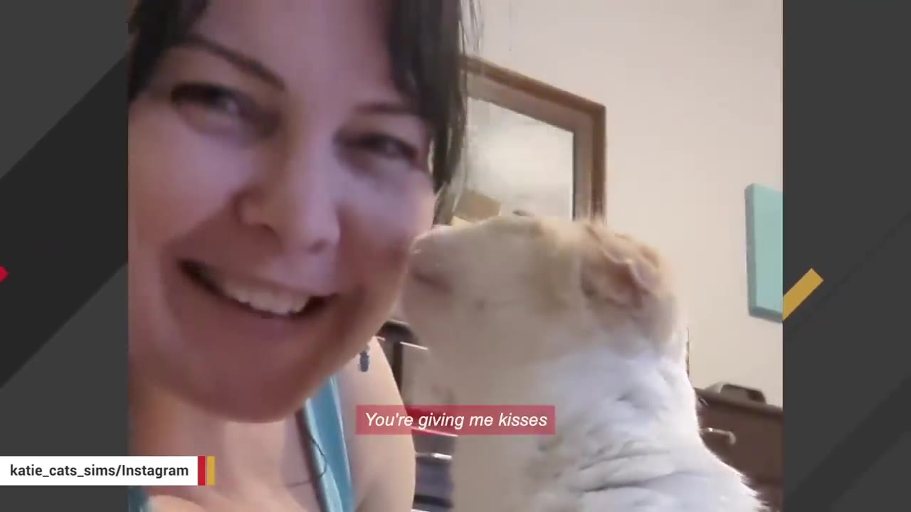 A smiling woman named Katie looking at the camera as a light-colored cat leans in to nuzzle her cheek.