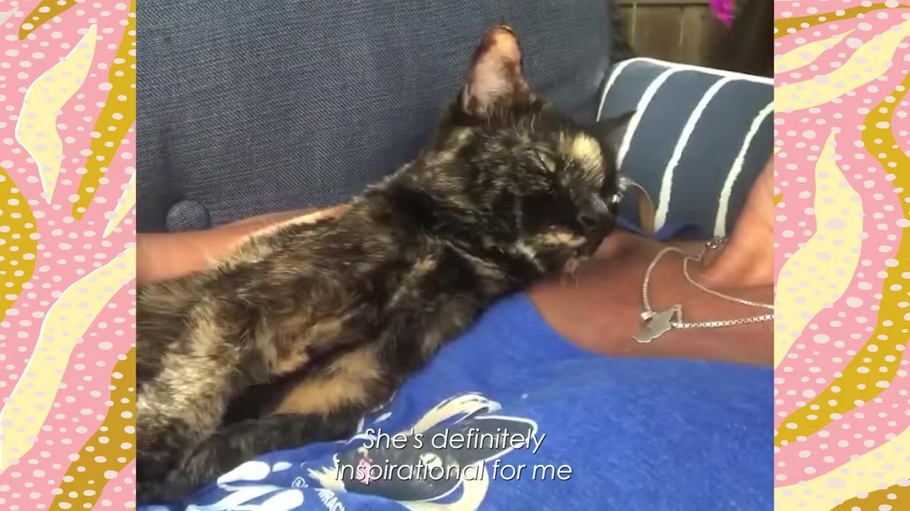 A tortoiseshell cat rests peacefully on a person's chest wearing a blue shirt, with the text overlay 'She's definitely inspirational for me'.