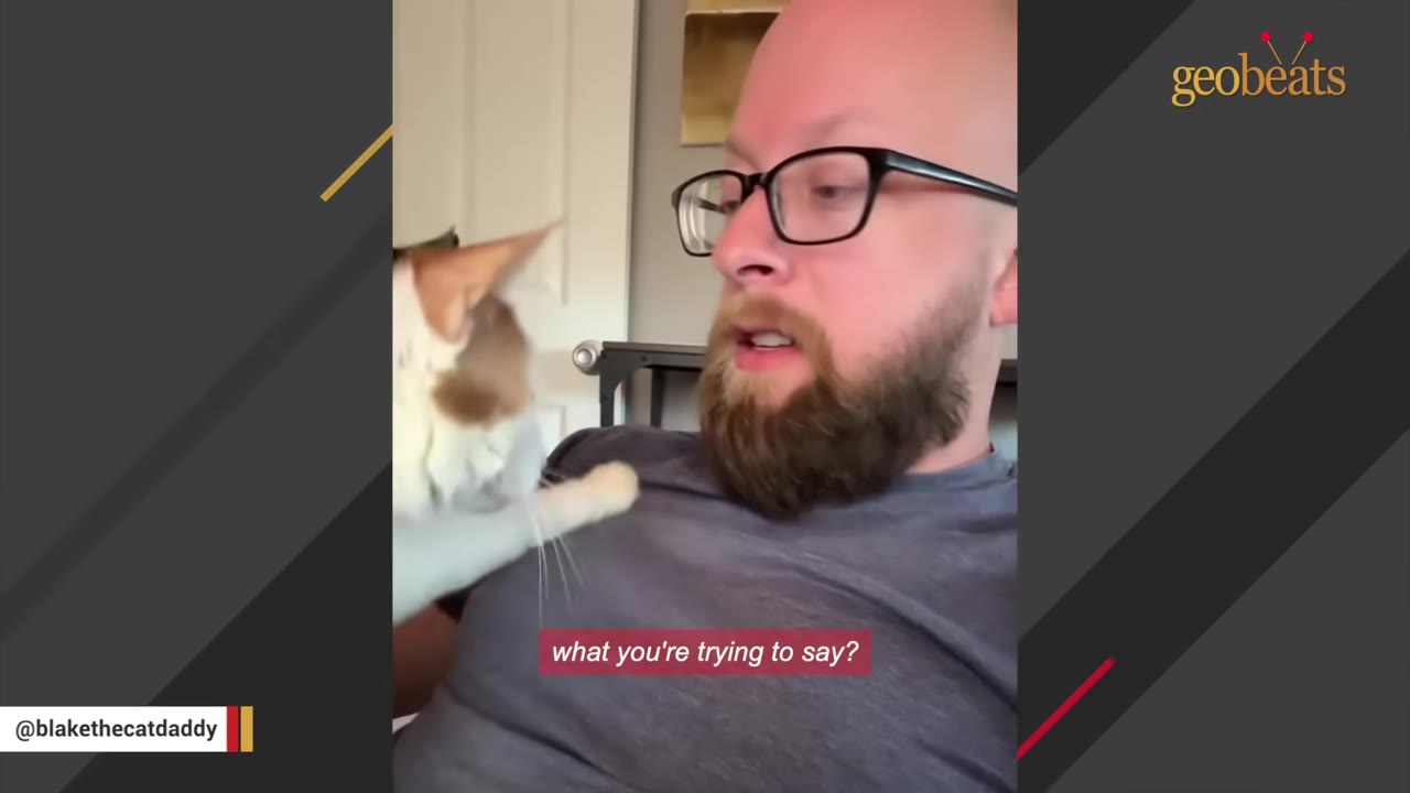 A calico cat touches a man's chest with its paw as they look at each other, appearing to have a conversation.