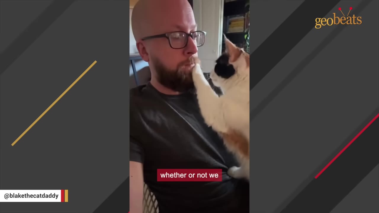 A calico cat places its paw directly on a bearded man's mouth as he looks at it.