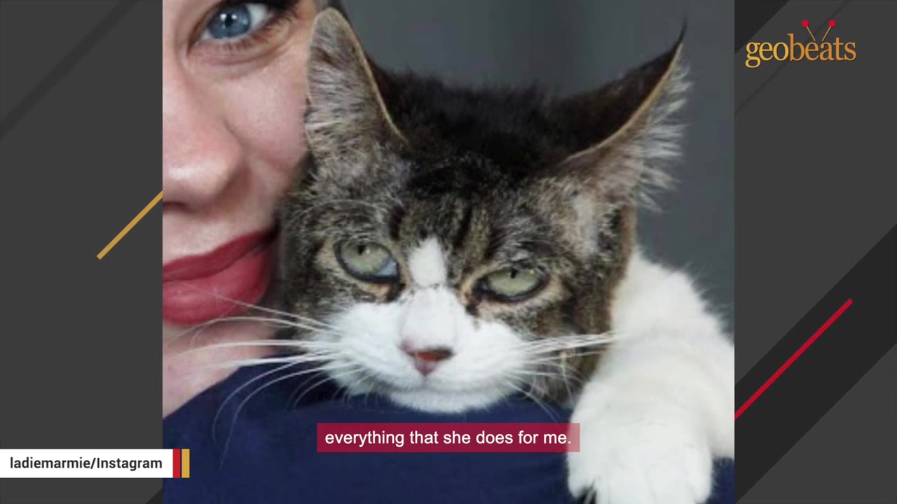 A close-up of a brown and white cat resting its head on a woman's shoulder, showcasing their close bond.