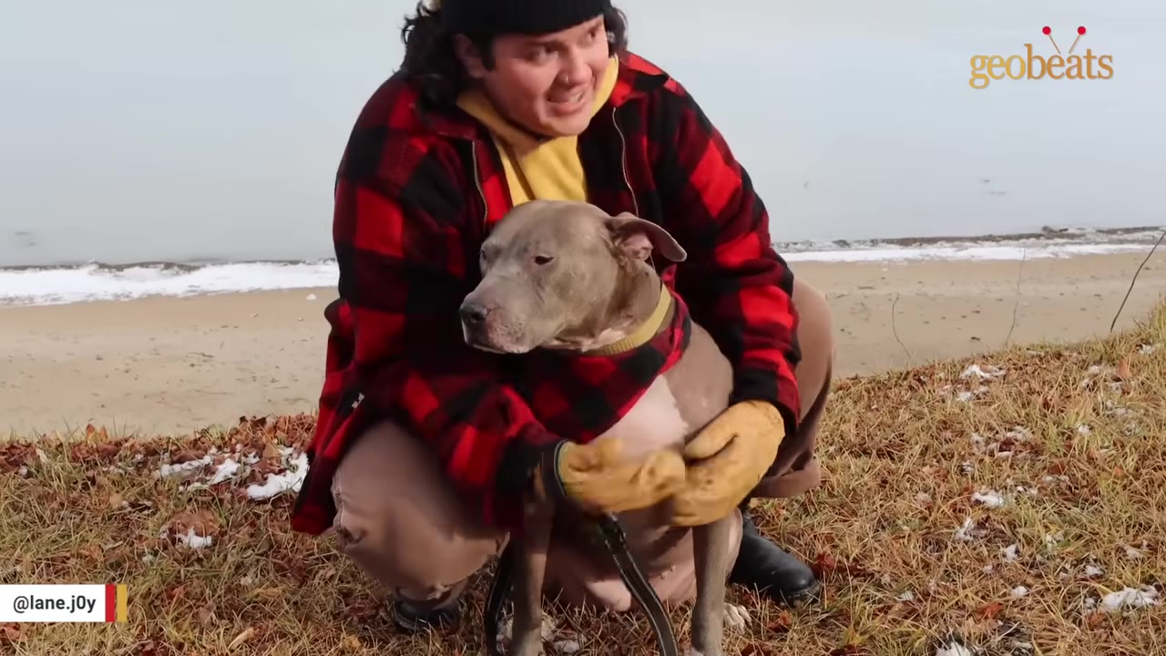 A person wearing a red and black plaid jacket and yellow gloves crouches down to hug a gray pit bull on a grassy hill near a beach.