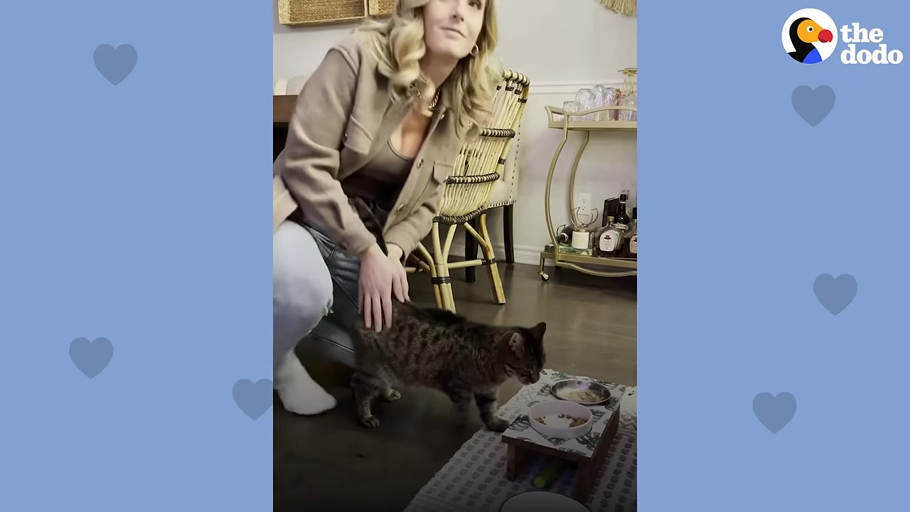 A woman kneeling down and gently petting a tabby cat standing near its food bowls.